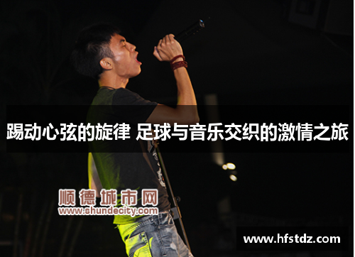 踢动心弦的旋律 足球与音乐交织的激情之旅