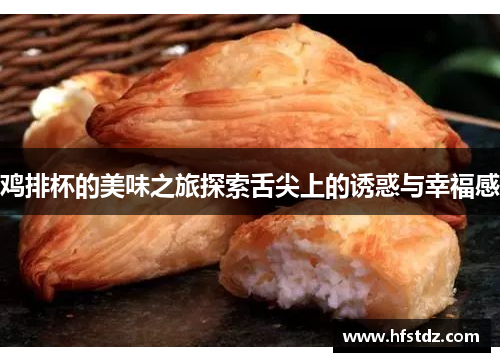 鸡排杯的美味之旅探索舌尖上的诱惑与幸福感
