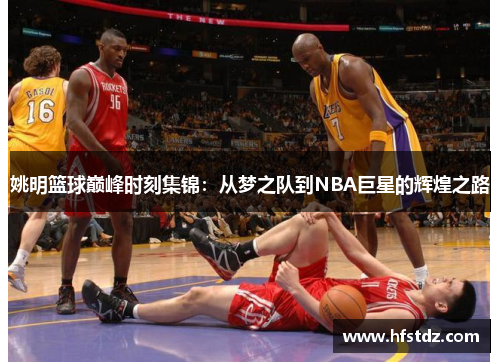 姚明篮球巅峰时刻集锦：从梦之队到NBA巨星的辉煌之路