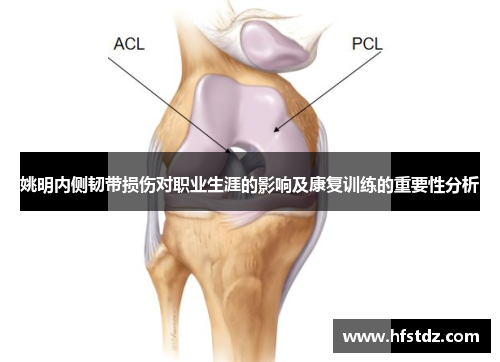 姚明内侧韧带损伤对职业生涯的影响及康复训练的重要性分析